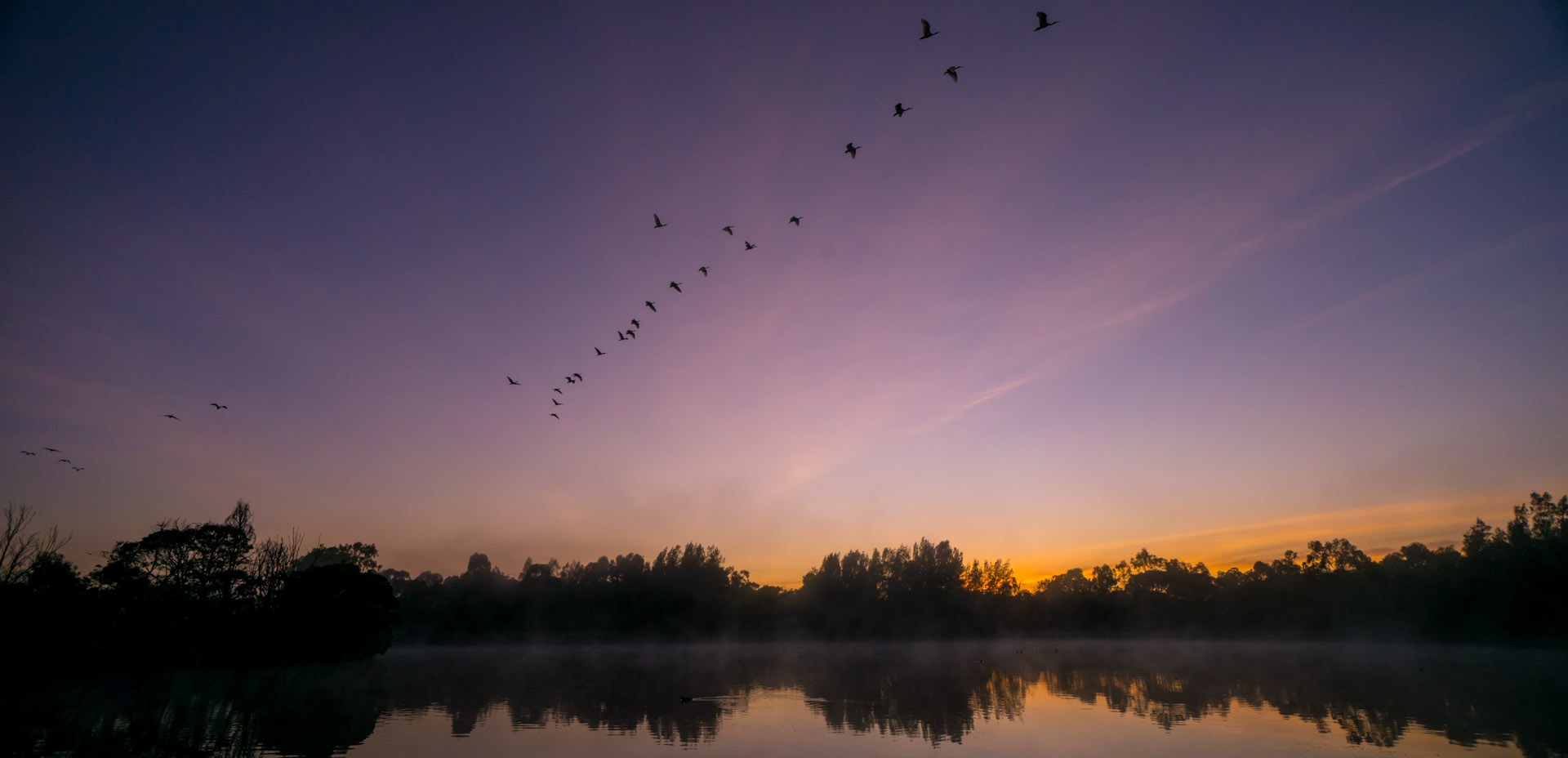 Sunrise at Jells Park
