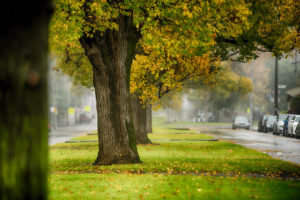 Colours of the Start of Winter