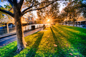 Melbourne Dressed in Green 7 Gold
