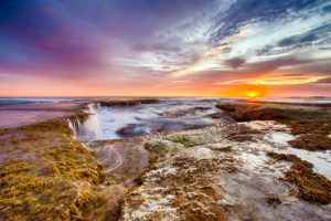 Pretty & Beautiful at Pearses Beach