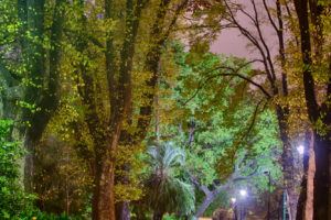 Winter Magic in Melbourne